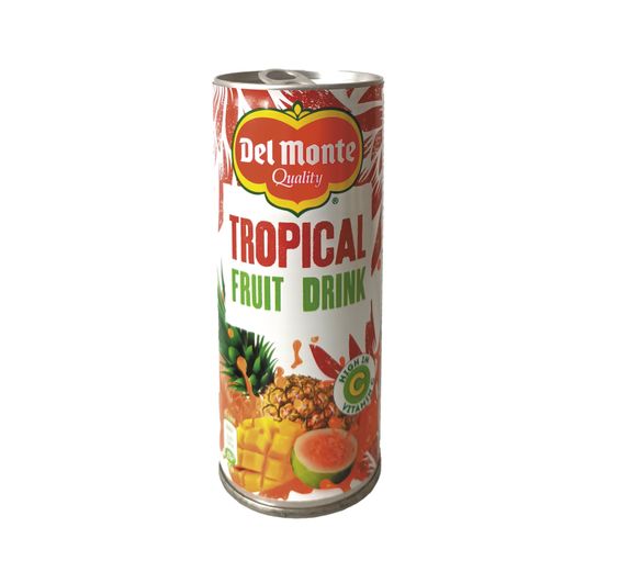 DEL MONTE Fruchtgetränk aus tropischen Früchten 240ml